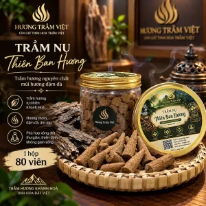 Trầm hương nụ Khánh Hoà loại 1: Thiên Ban Hương -Mùi Thơm Ngọt Ngào Sâu Lắng