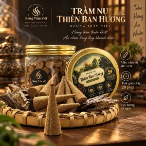 Trầm hương nụ Khánh Hoà loại 1: Thiên Ban Hương -Mùi Thơm Ngọt Ngào Sâu Lắng